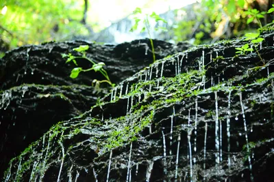 DSC_2834 (Large).JPG